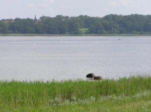 The view towards Holsteinborg Castle.