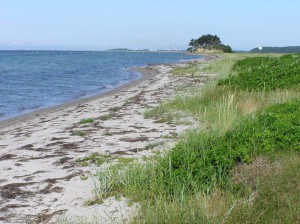 Dejlig badestrand med udsigt til Selhøj.